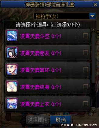 DNF发布网怎么有私服 DNF发布网怎么有私服